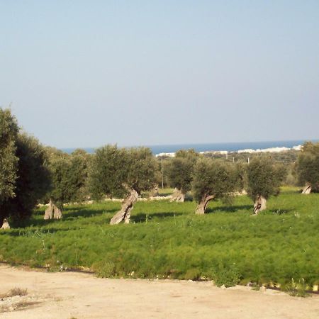 Masseria Ricci Fasano Eksteriør bilde