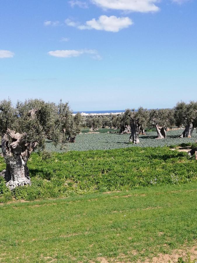 Masseria Ricci Fasano Eksteriør bilde