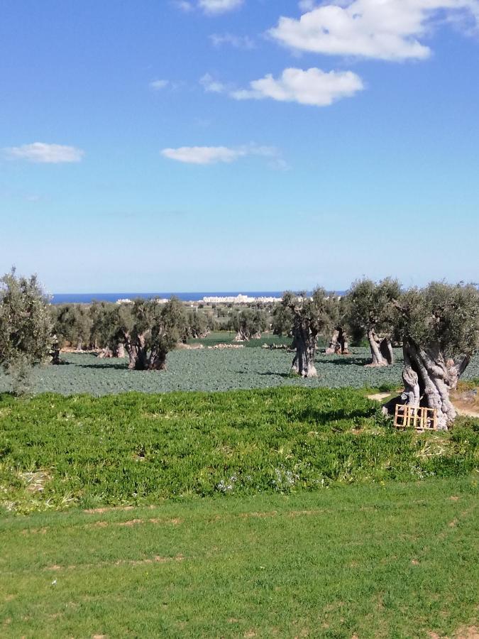 Masseria Ricci Fasano Eksteriør bilde