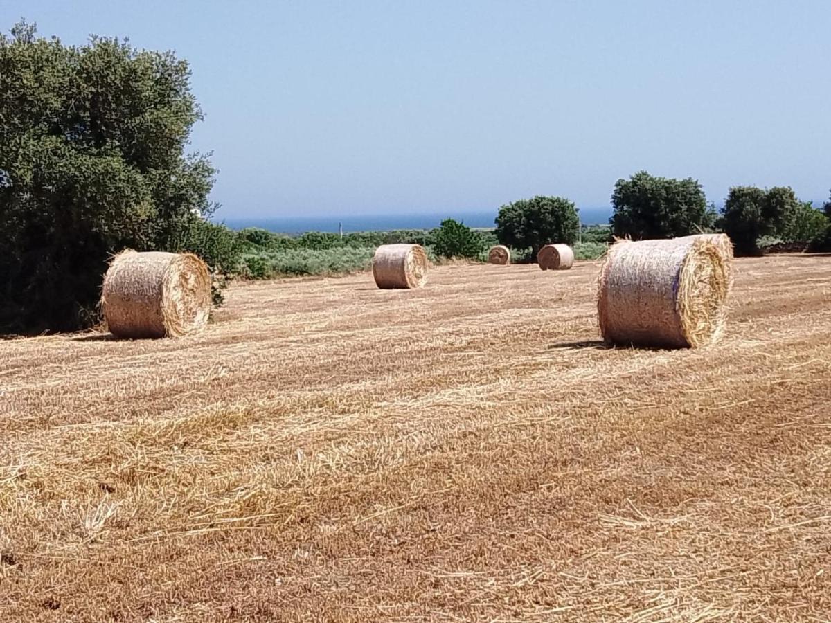 Masseria Ricci Fasano Eksteriør bilde