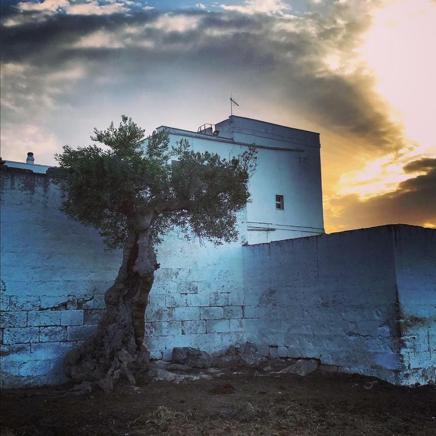 Masseria Ricci Fasano Eksteriør bilde